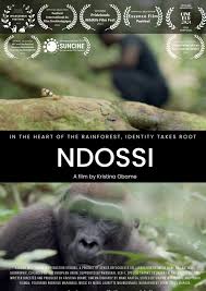 Ndossi 