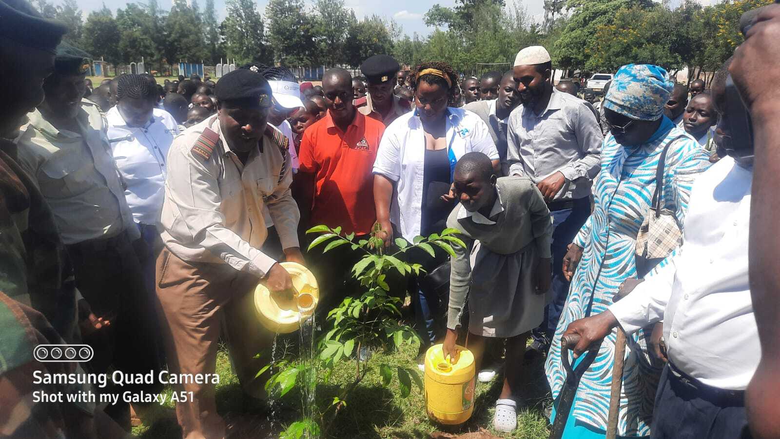 Board Supports National Tree Planting Initiative in Nyanza Region