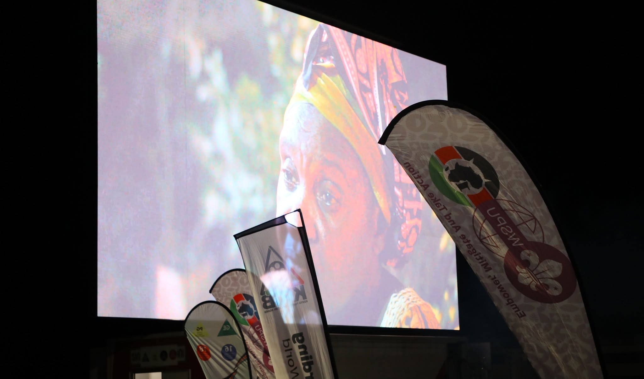 Picture 4 screening