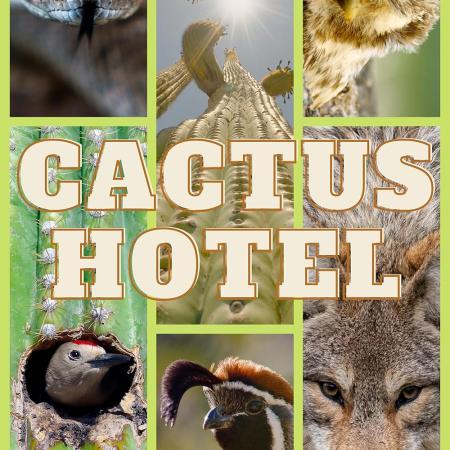 Cactus Hotel