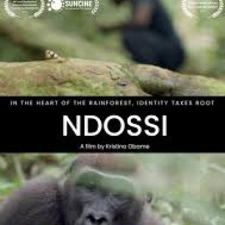 Ndossi 