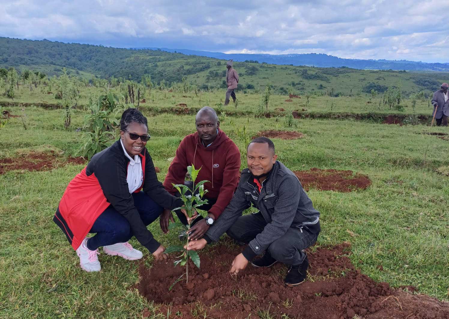 Tree Planting at Kipsiro, Bungoma County, for a Greener Environment