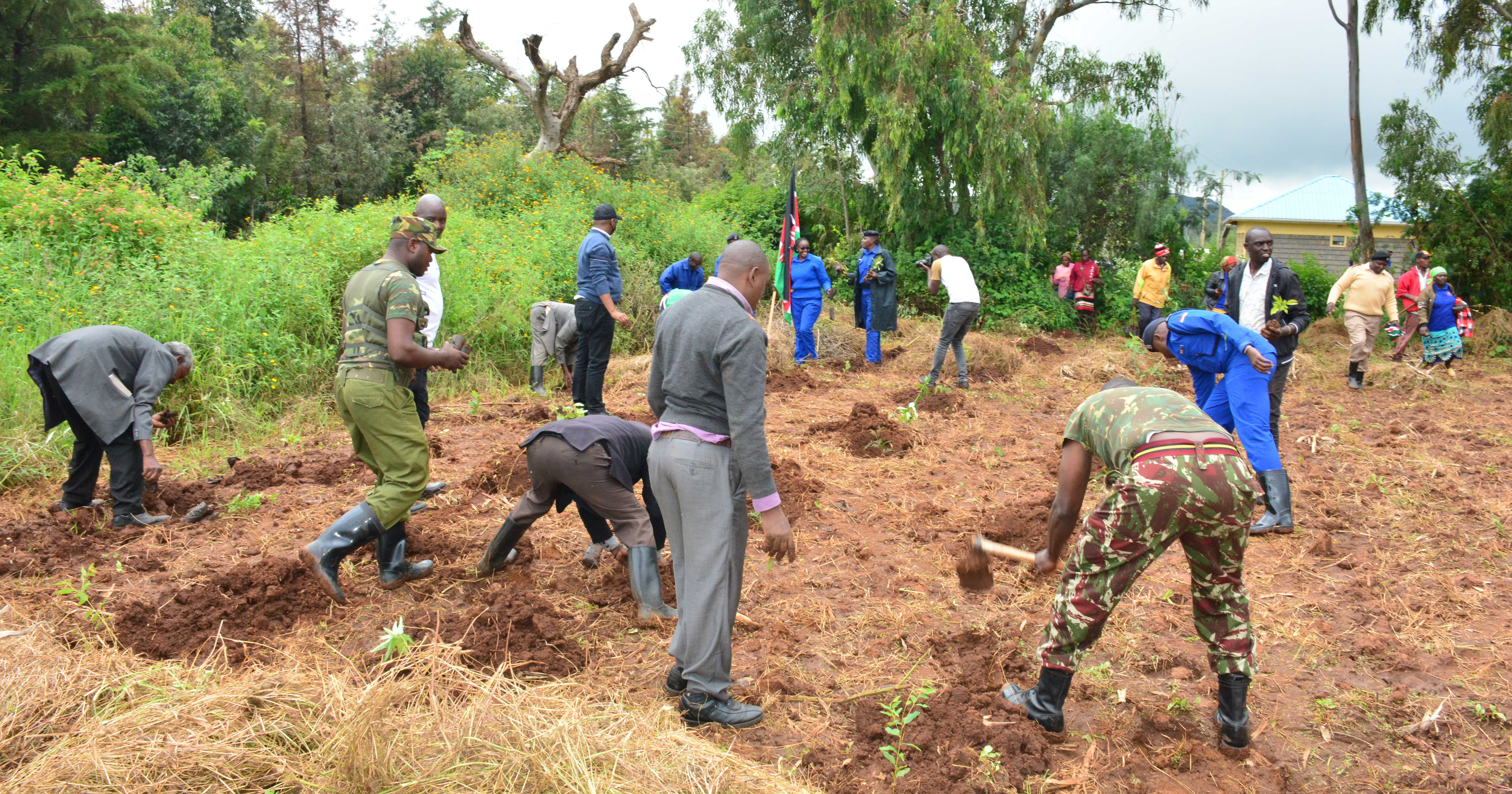 KFCB collaborates with Police for Tree Planting at Getune Police Station, Kiambu County