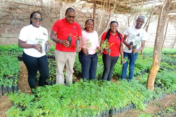 tree palnting exercise