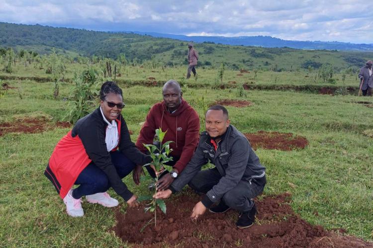 Tree Planting at Kipsiro, Bungoma County, for a Greener Environment